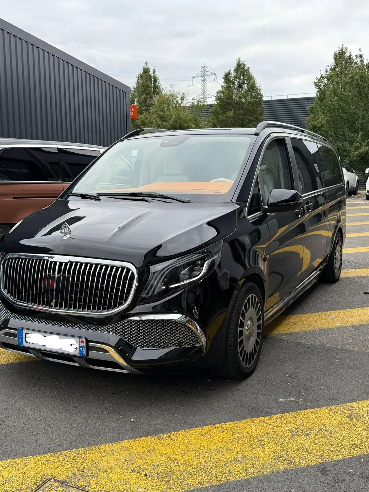 Mercedes VIP with chauffeur